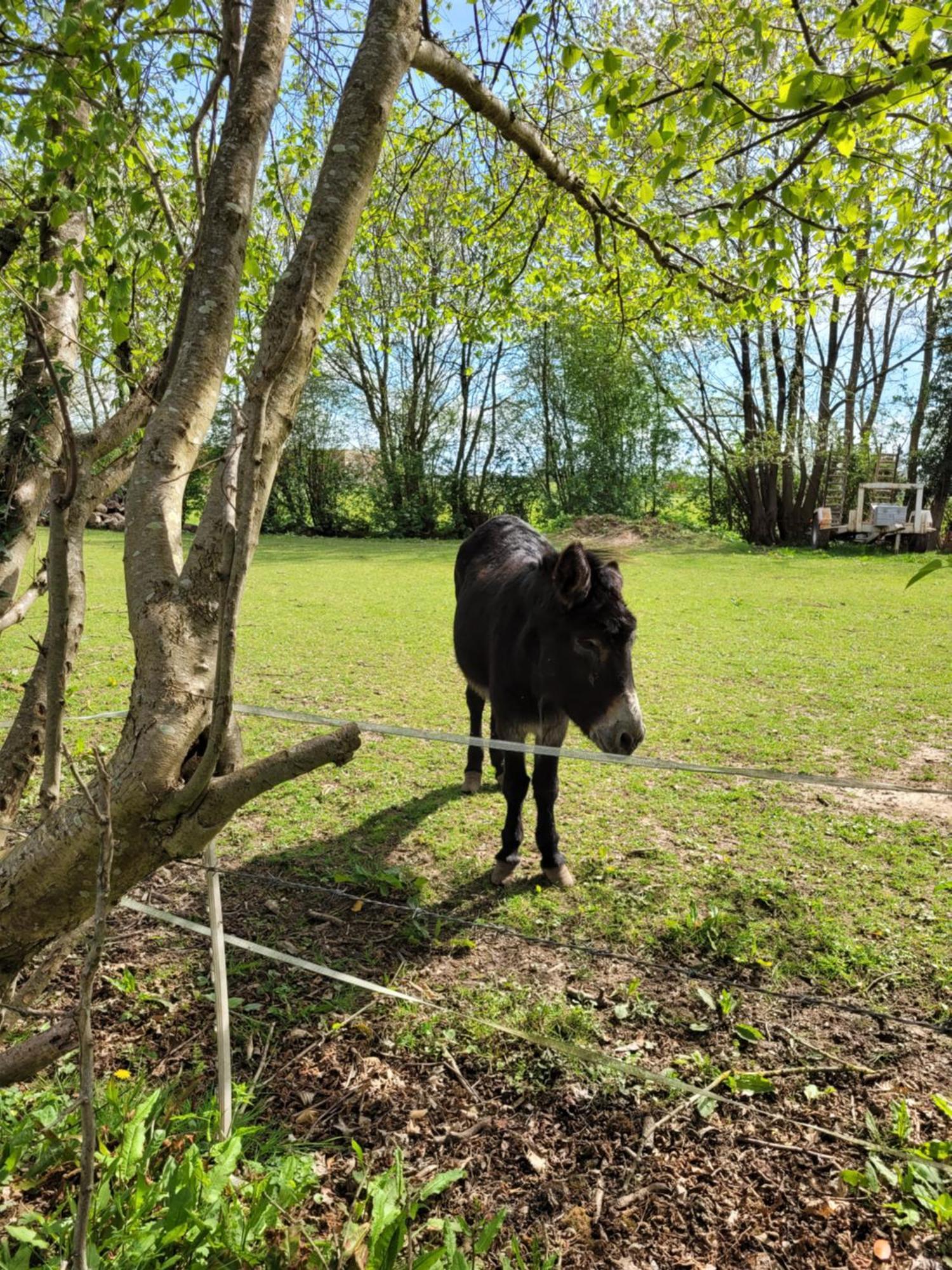 My Little Garden -Parking Gratuit 500M -Coeur Historique -La Clef De Honfleur Apartment ภายนอก รูปภาพ